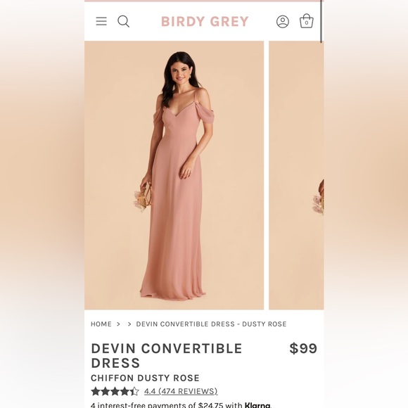 Birds grey bridesmaids dress - Picture 1 of 4